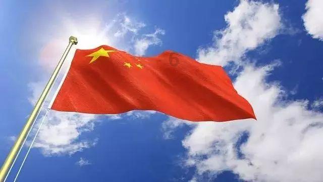 猫咪呕吐怎么办？游戏画面